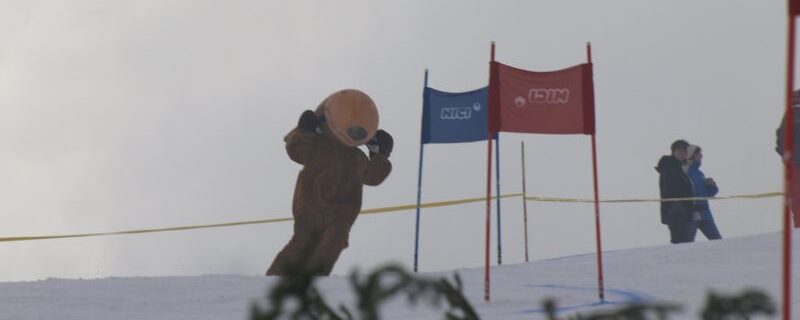 Fotoalbum: Nici-Cup 2010 Durchholzen