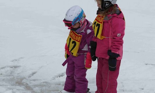 Fotoalbum: Schikurs 2015 Durchholzen Tag 2