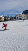 NICI Cup Hinterthiersee 06.02.2022