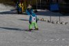 Clubmeisterschaft | Vereinerennen - Super Bambini
