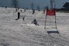 Clubmeisterschaft | Vereinerennen - Erwachsene