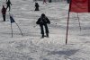 Clubmeisterschaft | Vereinerennen - Erwachsene