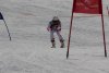 Clubmeisterschaft | Vereinerennen - Vereinerennen