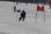 Clubmeisterschaft | Vereinerennen - Vereinerennen