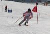 Clubmeisterschaft | Vereinerennen - Vereinerennen