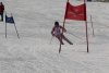 Clubmeisterschaft | Vereinerennen - Vereinerennen