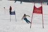 Clubmeisterschaft | Vereinerennen - Vereinerennen