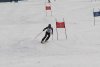 Clubmeisterschaft | Vereinerennen - Vereinerennen