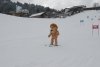 NICI Vertex Cup - 26.02.2023 - Ellmau [Fotos by Birgit Pfisterer Rathgeb]