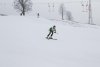 NICI - VERTEX Cup 04.03.2023 Ebbs/ Amberg