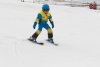 NICI - VERTEX Cup 04.03.2023 Ebbs/ Amberg