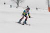 NICI - VERTEX Cup 04.03.2023 Ebbs/ Amberg