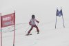 NICI - VERTEX Cup 04.03.2023 Ebbs/ Amberg