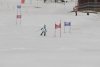 NICI - VERTEX Cup 04.03.2023 Ebbs/ Amberg
