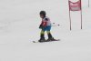 NICI - VERTEX Cup 04.03.2023 Ebbs/ Amberg