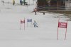 NICI - VERTEX Cup 04.03.2023 Ebbs/ Amberg