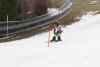 NICI - VERTEX Cup 04.03.2023 Ebbs/ Amberg