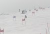 NICI - VERTEX Cup 04.03.2023 Ebbs/ Amberg