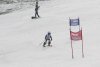 NICI - VERTEX Cup 04.03.2023 Ebbs/ Amberg