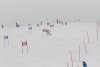 NICI - VERTEX Cup 04.03.2023 Ebbs/ Amberg