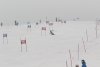 NICI - VERTEX Cup 04.03.2023 Ebbs/ Amberg