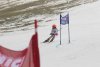 NICI - VERTEX Cup 04.03.2023 Ebbs/ Amberg