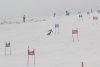 NICI - VERTEX Cup 04.03.2023 Ebbs/ Amberg