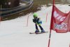 NICI - VERTEX Cup 04.03.2023 Ebbs/ Amberg