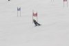 NICI - VERTEX Cup 04.03.2023 Ebbs/ Amberg