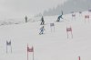 NICI - VERTEX Cup 04.03.2023 Ebbs/ Amberg