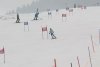 NICI - VERTEX Cup 04.03.2023 Ebbs/ Amberg