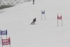 NICI - VERTEX Cup 04.03.2023 Ebbs/ Amberg