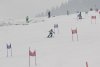 NICI - VERTEX Cup 04.03.2023 Ebbs/ Amberg