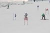 NICI - VERTEX Cup 04.03.2023 Ebbs/ Amberg