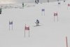 NICI - VERTEX Cup 04.03.2023 Ebbs/ Amberg