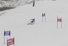 NICI - VERTEX Cup 04.03.2023 Ebbs/ Amberg
