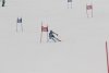 NICI - VERTEX Cup 04.03.2023 Ebbs/ Amberg