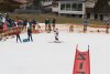 NICI - VERTEX Cup 04.03.2023 Ebbs/ Amberg