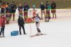 NICI - VERTEX Cup 04.03.2023 Ebbs/ Amberg