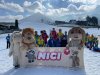 NICI - VERTEX Cup 04.03.2023 Ebbs/ Amberg