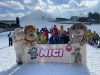 NICI - VERTEX Cup 04.03.2023 Ebbs/ Amberg