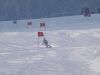 Vereinemeisterschaft 2010