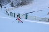 Nicicup Durchholzen 29.01.2011