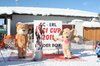 Nicicup Durchholzen 29.01.2011
