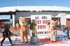 Nicicup Durchholzen 29.01.2011
