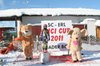 Nicicup Durchholzen 29.01.2011