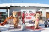 Nicicup Durchholzen 29.01.2011