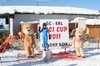 Nicicup Durchholzen 29.01.2011
