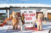 Nicicup Durchholzen 29.01.2011