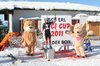 Nicicup Durchholzen 29.01.2011